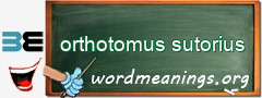 WordMeaning blackboard for orthotomus sutorius